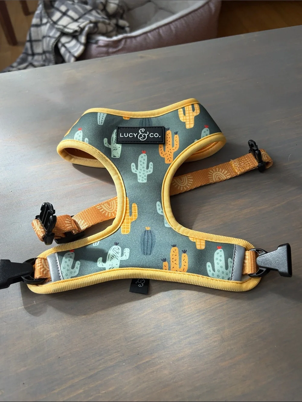Lucy & Co Looking Sharp Reversible Harness